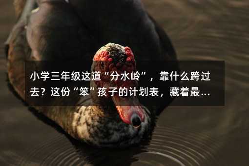 С�W���꼉�@������ˮ�X������ʲô���^ȥ���@�ݡ��������ӵ�Ӌ������������߼����ǻ�