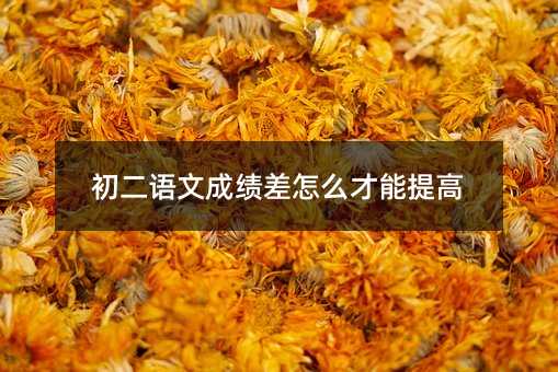 初二語文成績差怎么才能提高