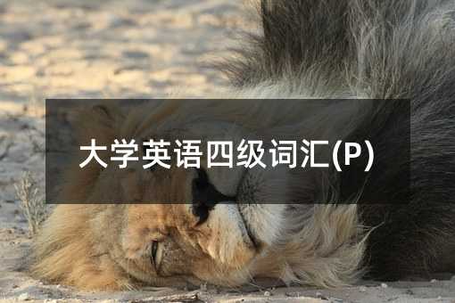 大學(xué)英語四級詞匯(P)