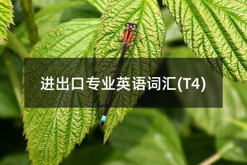進出口專業英語詞匯(T4)