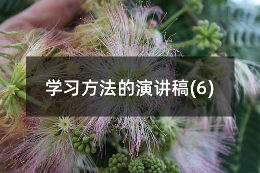 學習方法的演講稿(6)