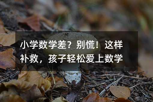 С�W(xu��)��(sh��)�W(xu��)��e�ţ��@���a(b��)�ȣ������p�ɐ��ϔ�(sh��)�W(xu��)