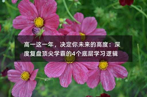 ��һ�@һ�꣬�Q����δ���ĸ߶ȣ���ȏ�(f��)�P피�W(xu��)�Ե�4���׌ӌW(xu��)��(x��)߉݋