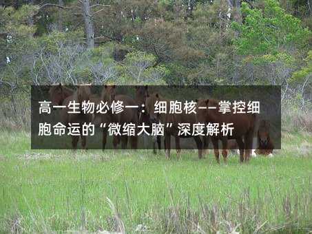 高一生物必修一:細胞核——掌控細胞命運的“微縮大腦”深度解析