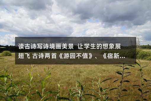 讀古詩寫詩境畫美景 讓學生的想象展翅飛 古詩兩首《游園不值》、《宿新市徐公店》篇