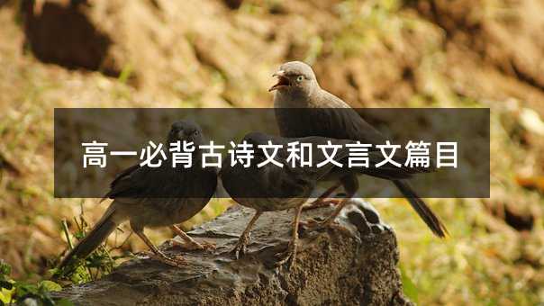 ��һ�ر���Ԋ�ĺ�������ƪĿ