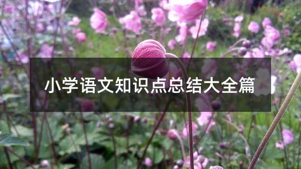 С�W�Z��֪�R�c���Y��ȫƪ