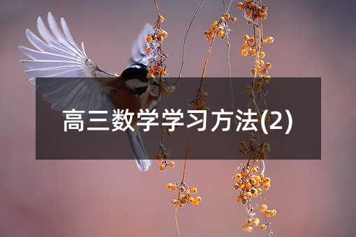 高三數(shù)學(xué)學(xué)習(xí)方法(2)