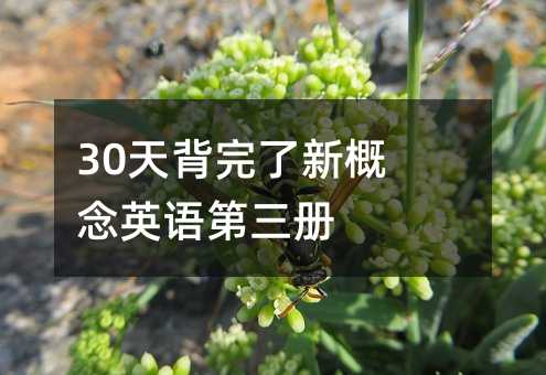 30天背完了新概念英語第三冊