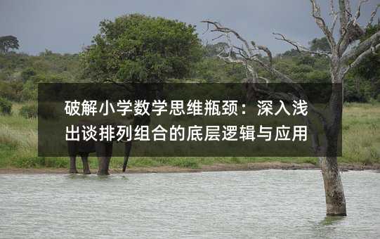 破解小學(xué)數(shù)學(xué)思維瓶頸:深入淺出談排列組合的底層邏輯與應(yīng)用