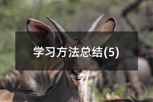 �W���������Y(5)