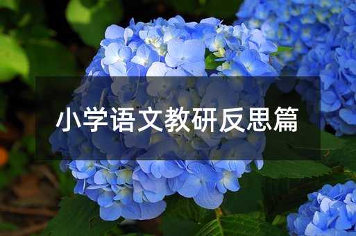 小學語文教研反思篇