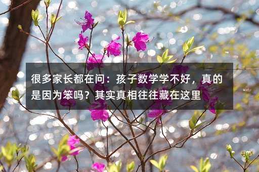 很多家長(zhǎng)都在問:孩子數(shù)學(xué)學(xué)不好,真的是因?yàn)楸繂幔科鋵?shí)真相往往藏在這里