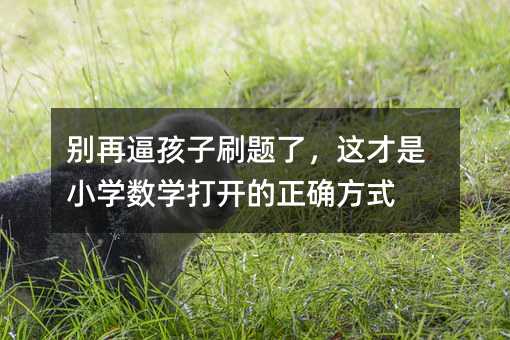 �e�ٱƺ���ˢ�}�ˣ��@����С�W(xu��)��(sh��)�W(xu��)���_�����_��ʽ