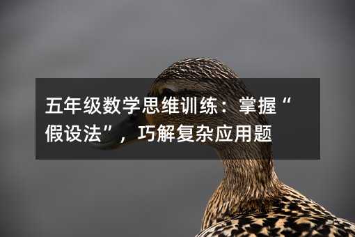 ���꼉���W˼�SӖ�������ա����O�������ɽ���s�����}