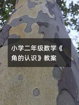 С�W(xu��)���꼉(j��)��(sh��)�W(xu��)���ǵ��J(r��n)�R(sh��)���̰�