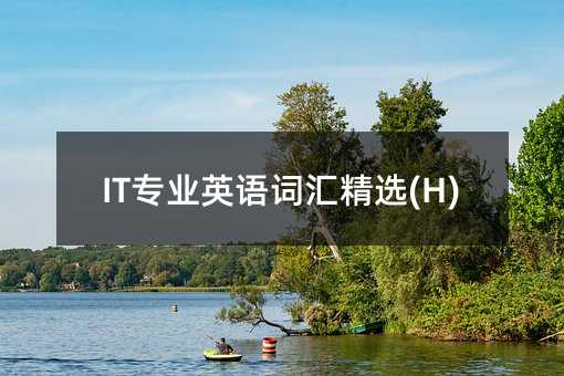 IT���IӢ�Z�~�R���x(H)