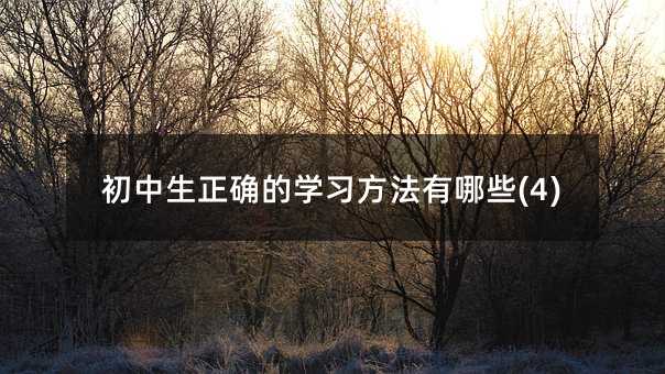 初中生正確的學習方法有哪些(4)