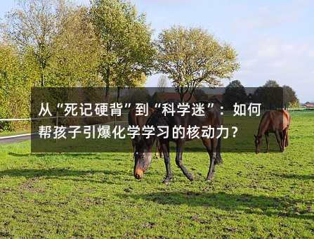 從“死記硬背”到“科學迷”:如何幫孩子引爆化學學習的核動力?