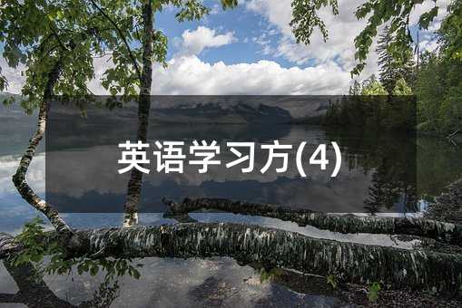 Ӣ�Z�W����(4)