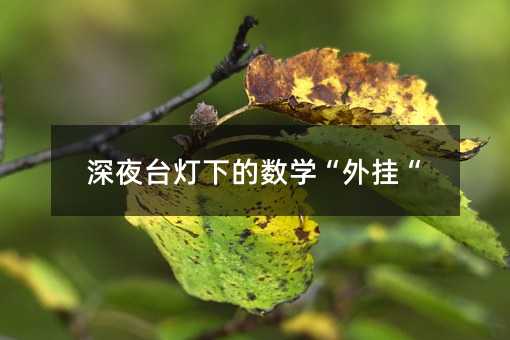 深夜臺燈下的數學“外掛“