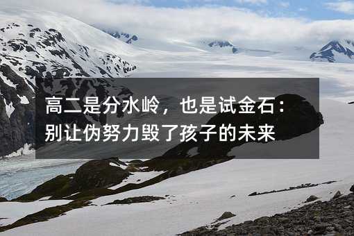 高二是分水嶺,也是試金石:別讓偽努力毀了孩子的未來
