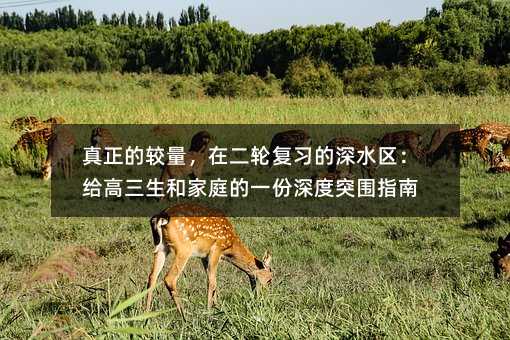 真正的較量,在二輪復(fù)習(xí)的深水區(qū):給高三生和家庭的一份深度突圍指南