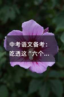 中考語文備考:吃透這“六個六”,基礎與閱讀輕松拿滿分