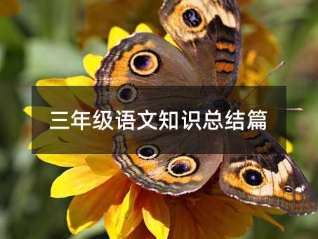 ���꼉�Z��֪�R���Yƪ