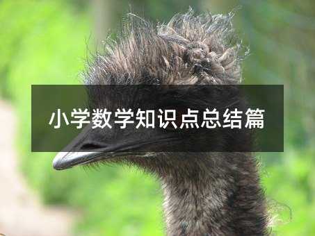 С�W��(sh��)�W֪�R�c���Y(ji��)ƪ