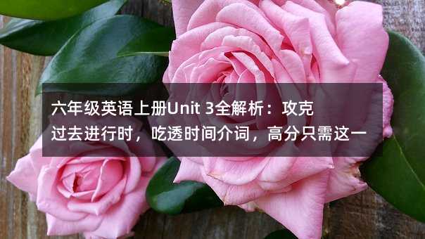 ���꼉Ӣ�Z�σ�Unit 3ȫ�����������^ȥ�M�Еr����͸�r�g���~���߷�ֻ���@һƪ