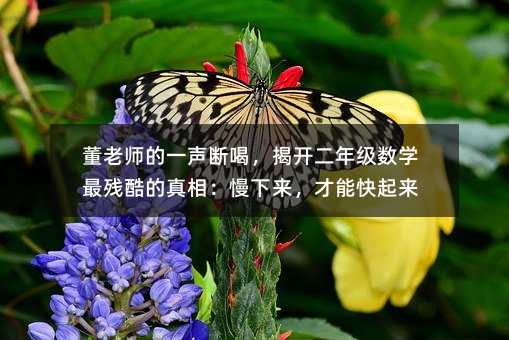 ���ώ���һ��ȣ����_(k��i)���꼉(j��)��(sh��)�W(xu��)�������ࣺ����(l��i)�����ܿ�����(l��i)