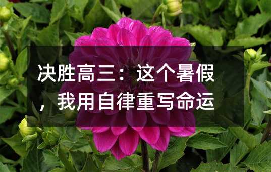 �Q�ٸ������@����������������،����\