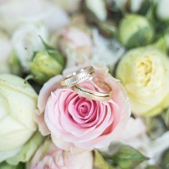 聰明的孩子為啥會學習差