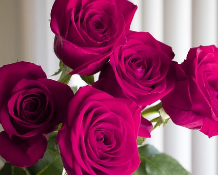 成為家教的個(gè)人教學(xué)經(jīng)驗(yàn)