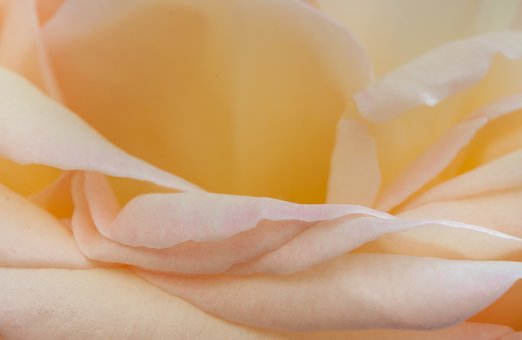 高三考生快速入睡有高招 調整心態減輕壓力