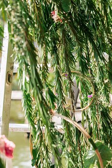 單親媽媽為三歲兒子征“周末爸爸”引熱議