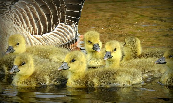 媽媽和女兒如何溝通