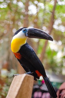 4. 引導孩子理智化