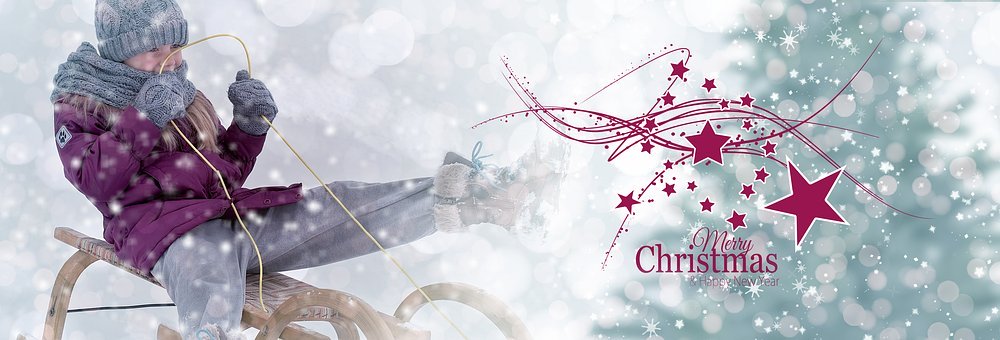 南方科大教改“價值”:為體制內(nèi)創(chuàng)新突圍探路