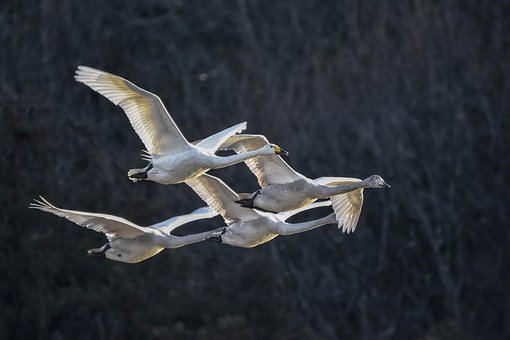 ���҂����ţ���ĸ�ձ��J�挦��С���ӵ�����...