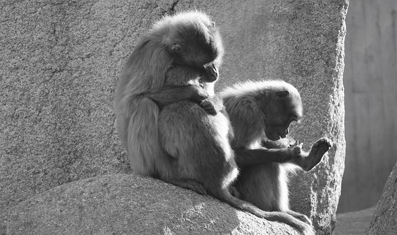 룬ڽ̌WrŌWȌҊM...