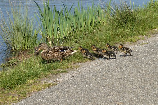 教育資源不均導致的過度開發