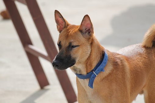 ڜʂ߿ČWfLһҪr...