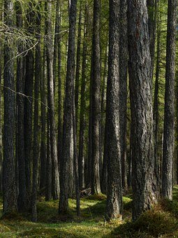 �����ӏ�(qi��ng)�cС�W(xu��)��(li��n)ϵ�c����