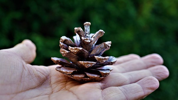 設(shè)租用大客車的數(shù)量為x輛,租用小客車的數(shù)...