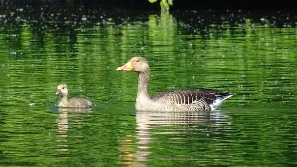 �ڌ�(sh��)�Hʹ���У��p�s��ԇ���Ĳ������EҲ�ǳ�...