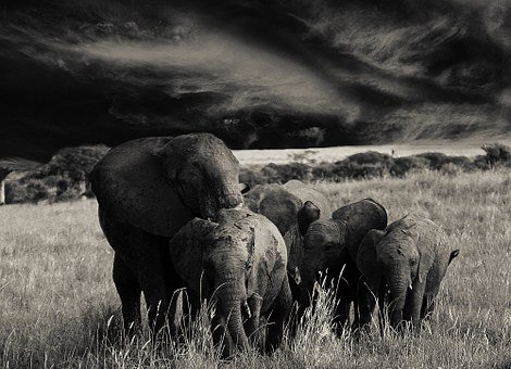 2. ĸ_^҂ؼҵĕrgȻ...