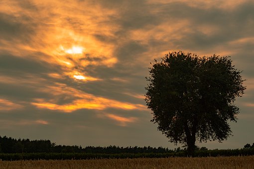 錫汗珠(鑄疵) tin sweat