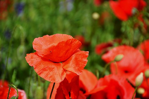 WYԴWдĔWWYԴ...